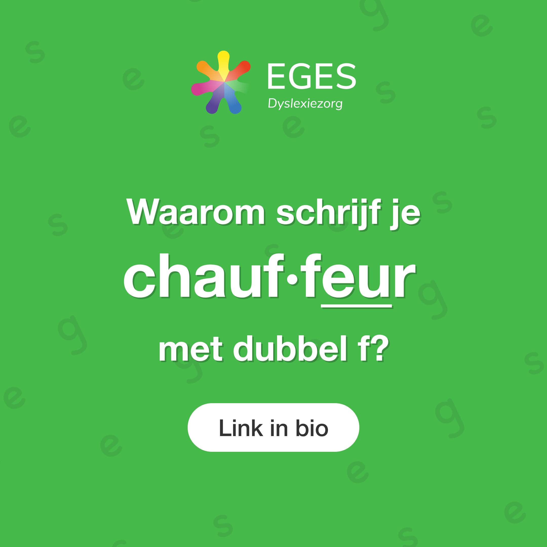 Eges Dyslexiezorg